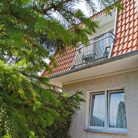 Проживание в семье Dom Sonia