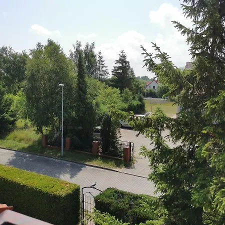 Dom Sonia Проживание в семье *