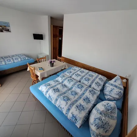 Проживание в семье Dom Sonia