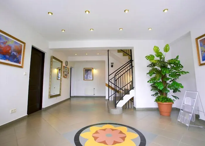 Dom Sonia Нехоже