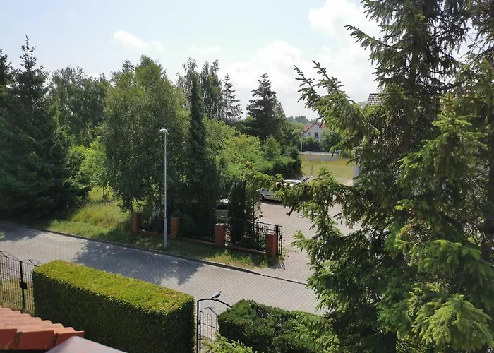 Dom Sonia Проживание в семье *