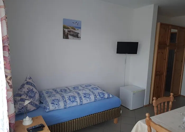 Проживание в семье Dom Sonia