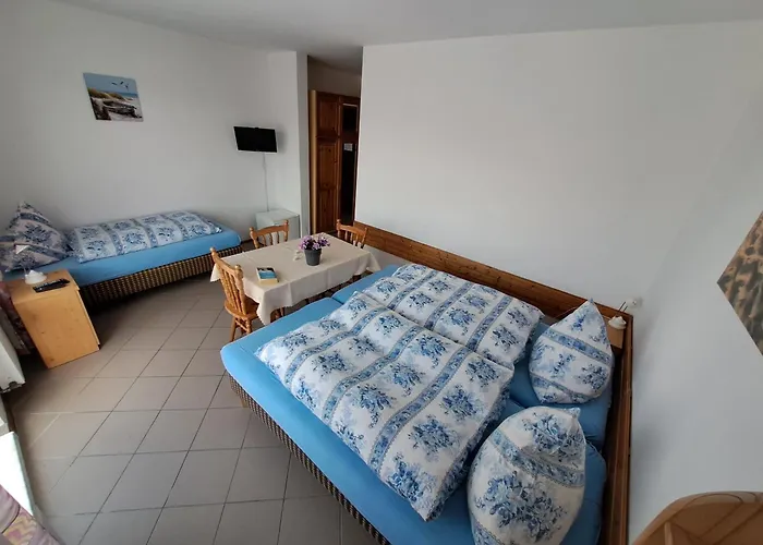 Проживание в семье Dom Sonia